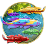 Koi Harmony